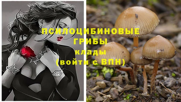 PSILOCYBIN Белоозёрский